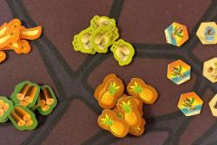 HO_catan_j_n_c_G_004