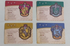 HO_HP_opcm_G_005